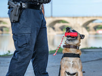 USA-K9 Firecracker Floating Training Dummy | K9 Handler Reward Toy | Red | USA Made - BIG FRENCHIES