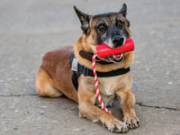 USA-K9 Firecracker Floating Training Dummy | K9 Handler Reward Toy | Red | USA Made - BIG FRENCHIES