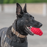 Grenade Shaped eDispenser Durable Dog Chew Toy & Treat Dispenser - Army Green - BIG FRENCHIES