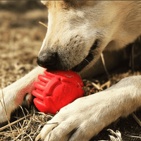 USA-K9 Stars and Stripes Rubber Dog Toy | K9 Handler Reward Toy | Red | USA Made - BIG FRENCHIES