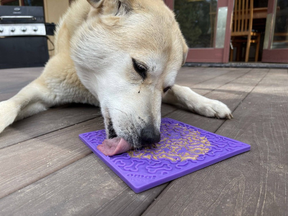 Bones eMat - Enrichment Lick Mat for Dogs and Cats | eMat Enrichment Toy for Anxiety Relief | SodaPup - BIG FRENCHIES