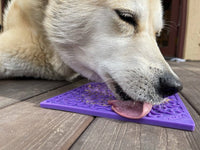 Bones eMat - Enrichment Lick Mat for Dogs and Cats | eMat Enrichment Toy for Anxiety Relief | SodaPup - BIG FRENCHIES