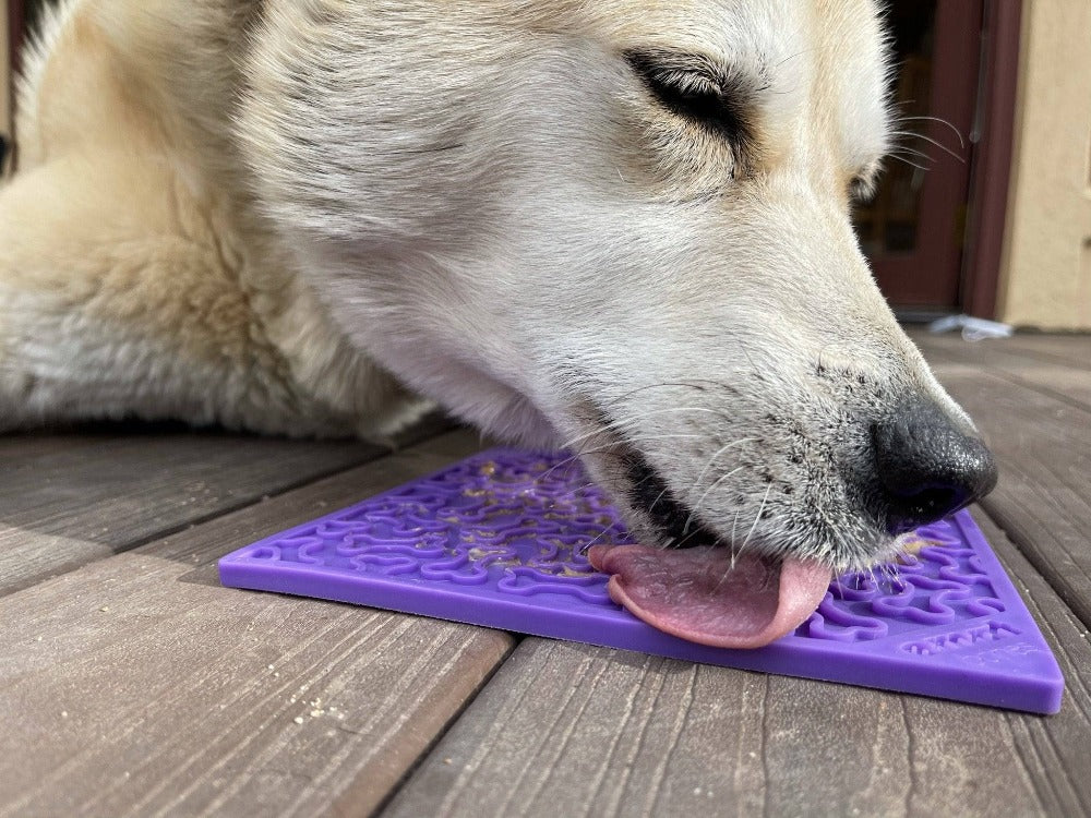 Bones eMat - Enrichment Lick Mat for Dogs and Cats | eMat Enrichment Toy for Anxiety Relief | SodaPup - BIG FRENCHIES