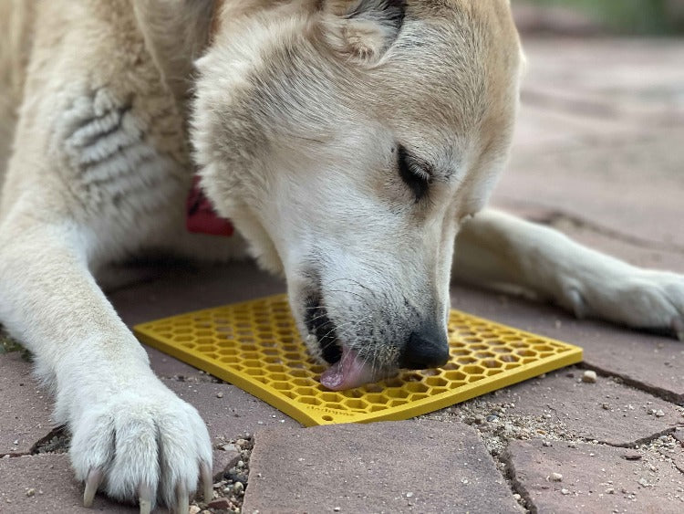 Honeycomb eMat - Enrichment Lick Mat for Dogs and Cats | eMat Enrichment Toy for Anxiety Relief | SodaPup - BIG FRENCHIES