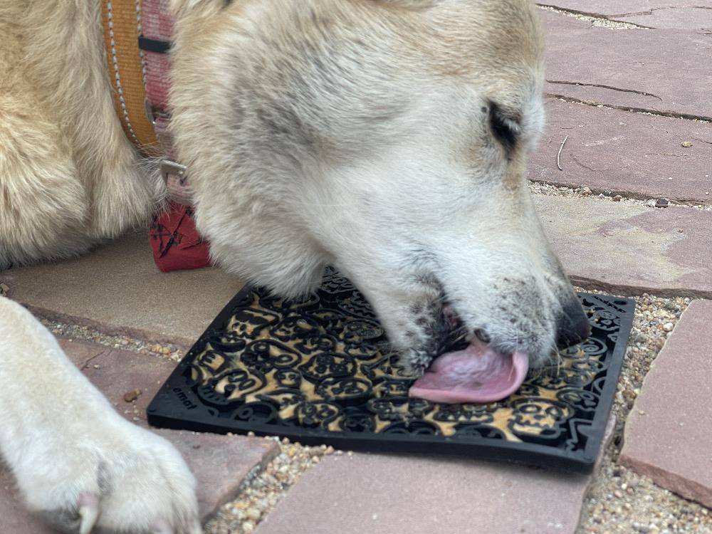 Zombie eMat - Enrichment Lick Mat for Dogs and Cats | Halloween Skull Design | SodaPup - BIG FRENCHIES