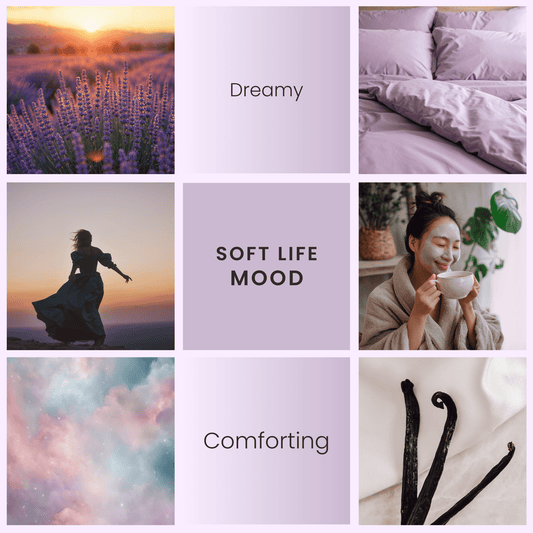 Soft Life - Lavender & Vanilla Soy Wax Melts - BIG FRENCHIES