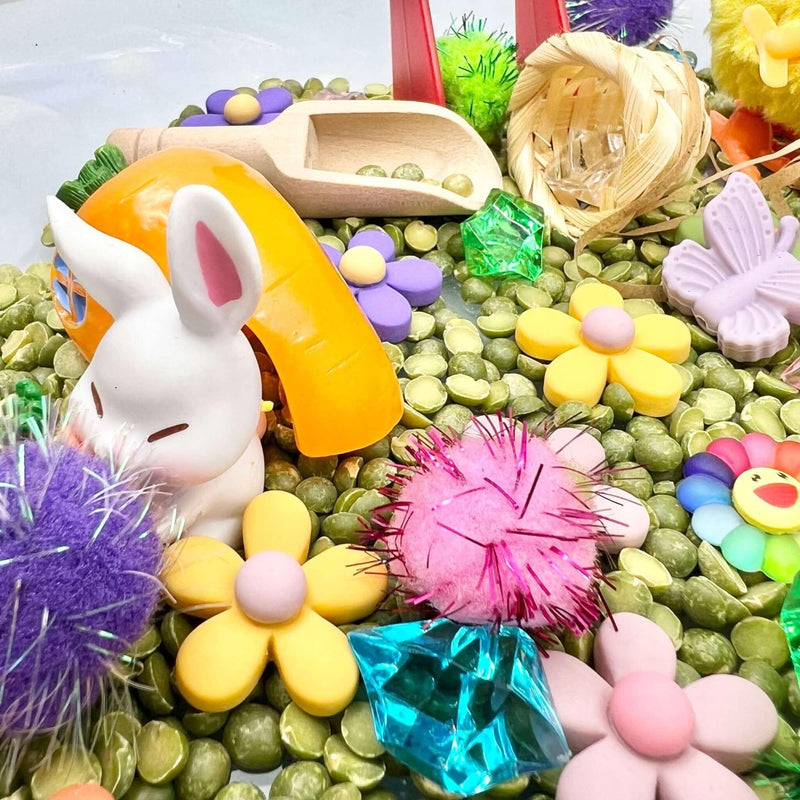 Spring Garden, Play Set with Lentils - BIG FRENCHIES