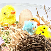 Spring Garden, Play Set with Lentils - BIG FRENCHIES