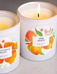 Vine Peach 10oz Signature Jewelry Candle - BIG FRENCHIES