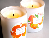 California Poppy 10oz Signature Jewelry Candle - BIG FRENCHIES
