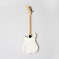 beatles + loog electric guitar (collective) - BIG FRENCHIES