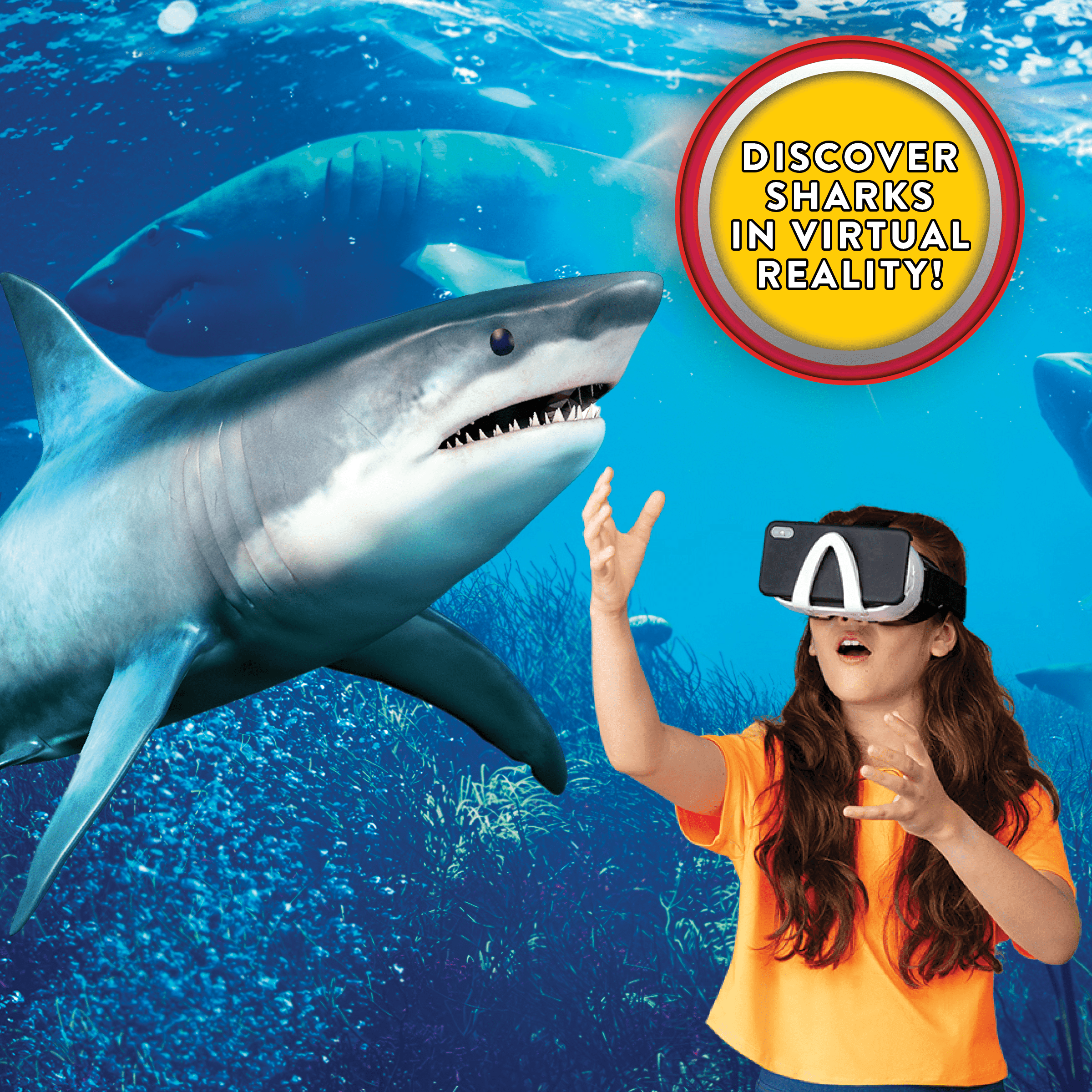 Steam Lab Shark Lab VR