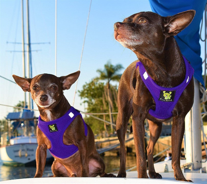 EcoBark Purple Step In Dog Harness - Rapid Fastener Reflective Soft Mesh Dog Vest Halter for Small Dogs and Puppies - BIG FRENCHIES