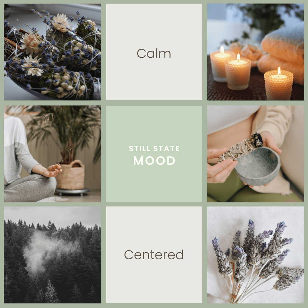 Still State – Lavender & Sage Soy Candle - BIG FRENCHIES