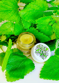 SUPER LEMON BALM - BIG FRENCHIES