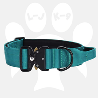 Luxury Sleek Padded Dog Collar