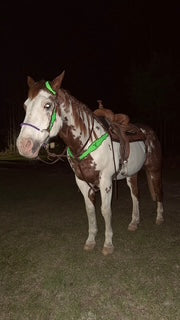Little S Style Hackamore