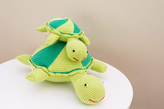 Thelma and Louse the turtles