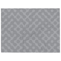 Sebastian & Clementine Gray Morphing Throw Blanket