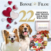 Love My Dog Themed Treats Box - BIG FRENCHIES
