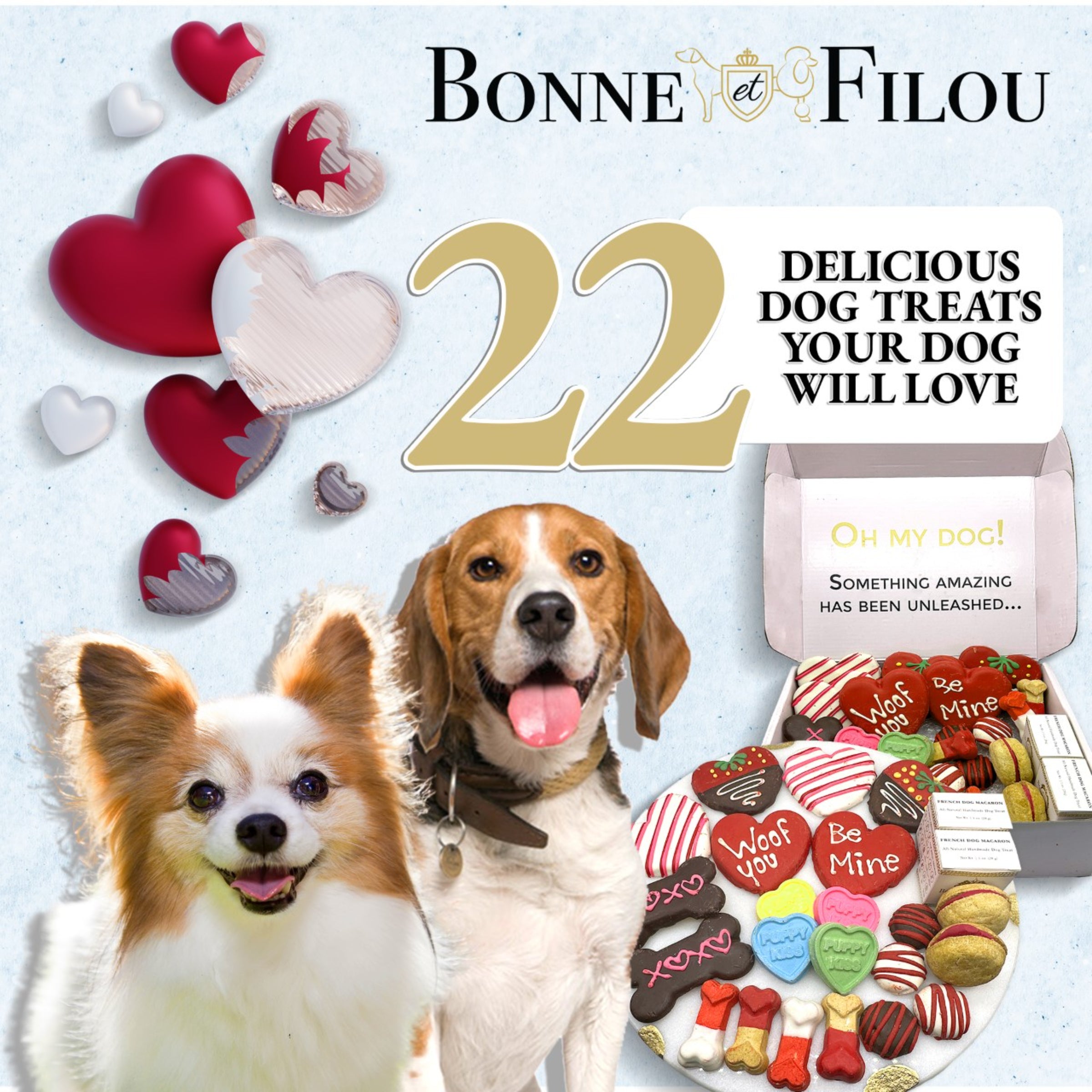 Love My Dog Themed Treats Box - BIG FRENCHIES