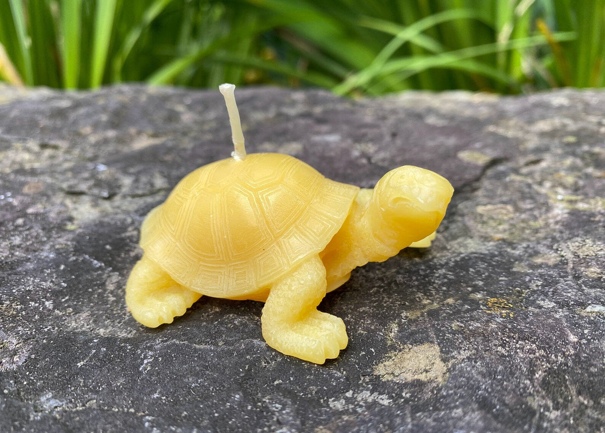 Tortoise Beeswax Candle