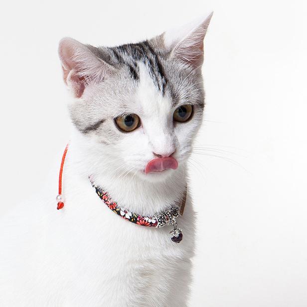 Touchcat Lucky Charms Designer Cable Necklace Cat Collar - BIG FRENCHIES