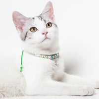 Touchcat Lucky Charms Designer Cable Necklace Cat Collar - BIG FRENCHIES