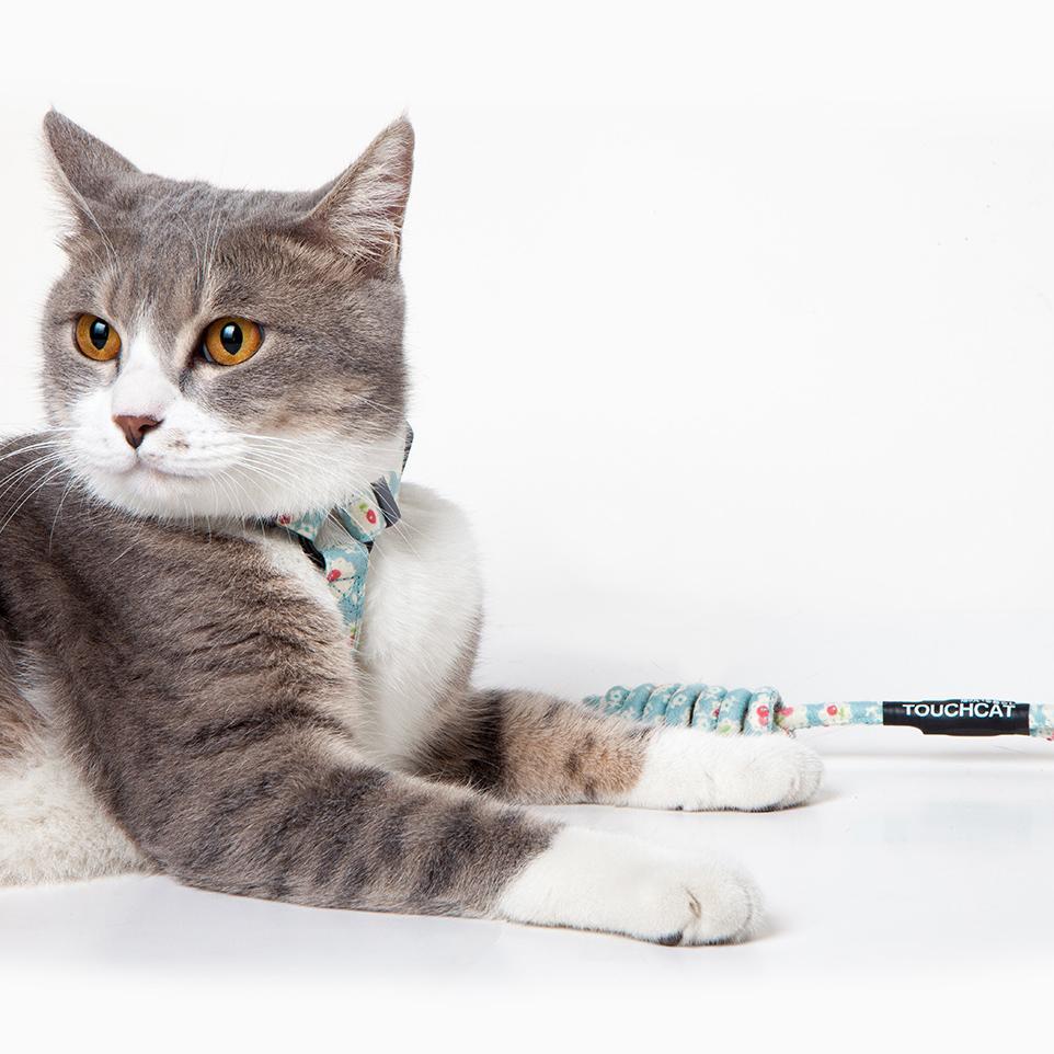 Touchcat 'Radi-Claw' Durable Cable Cat Harness and Leash Combo - BIG FRENCHIES