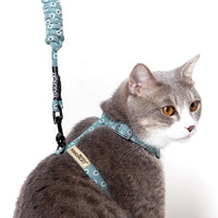 Touchcat 'Radi-Claw' Durable Cable Cat Harness and Leash Combo - BIG FRENCHIES