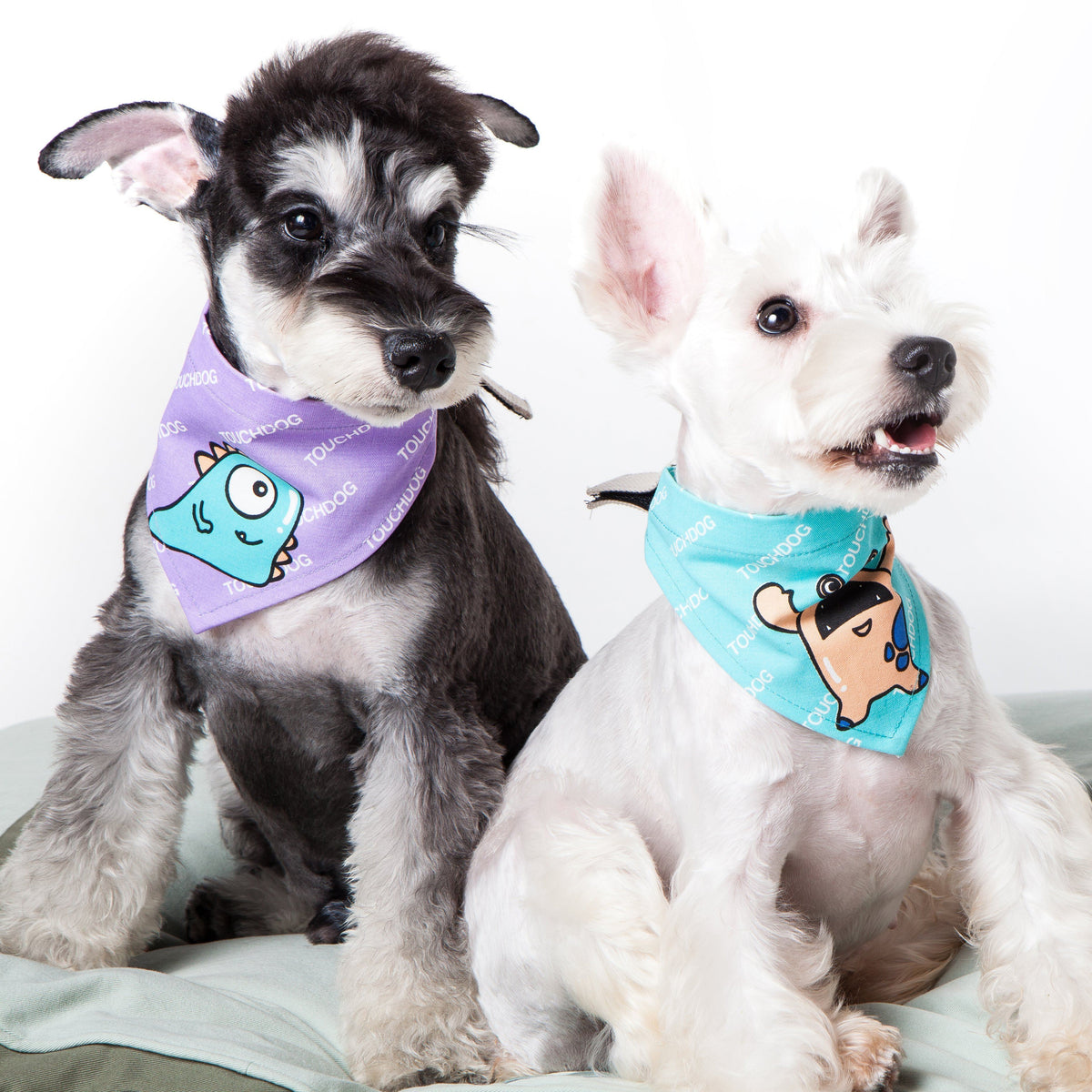 Touchdog Star Patterned Hook-and-Loop Fashion Dog Bandana - BIG FRENCHIES