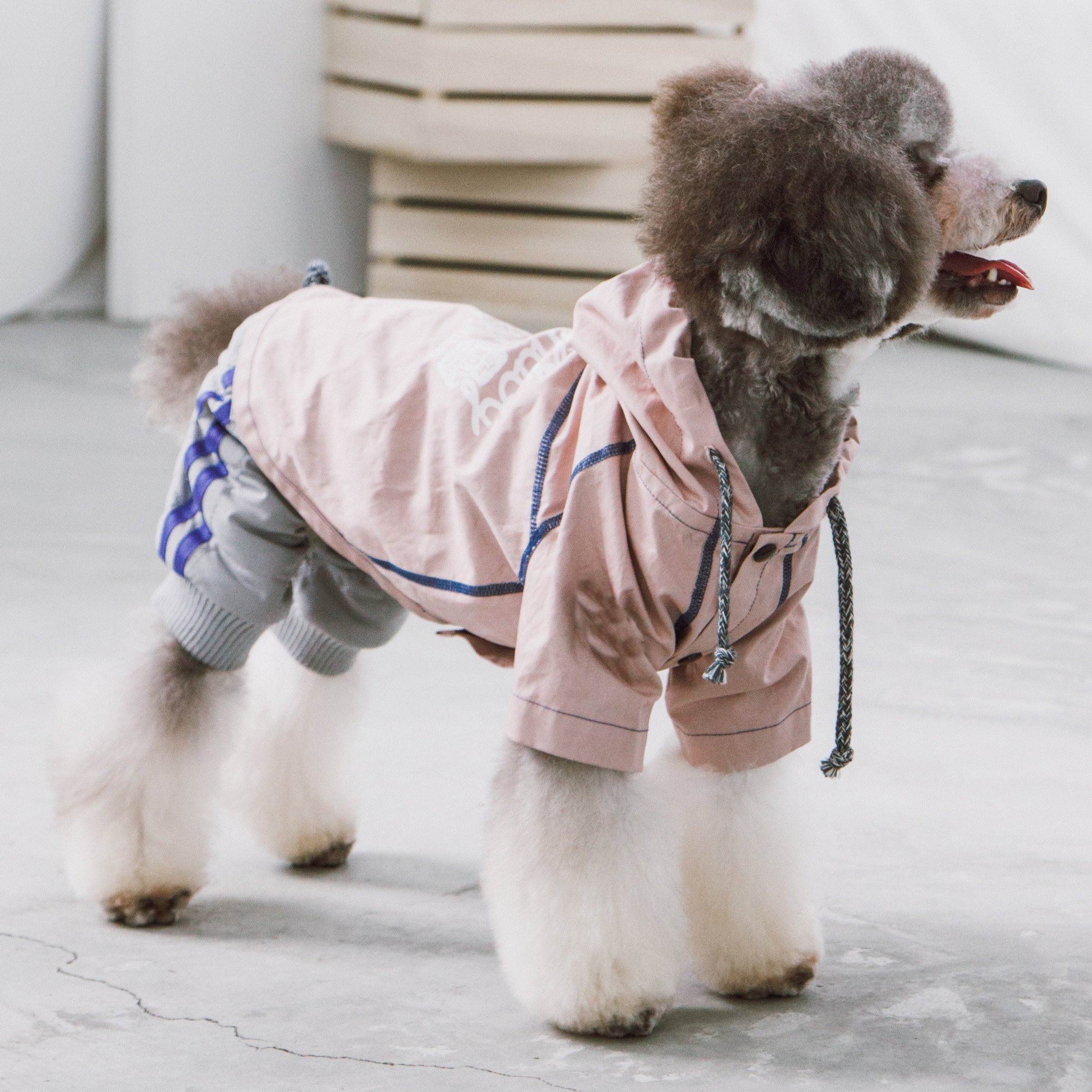 Touchdog 'Cloudburst' Reversible Fashion Waterproof Dog Raincoat - BIG FRENCHIES