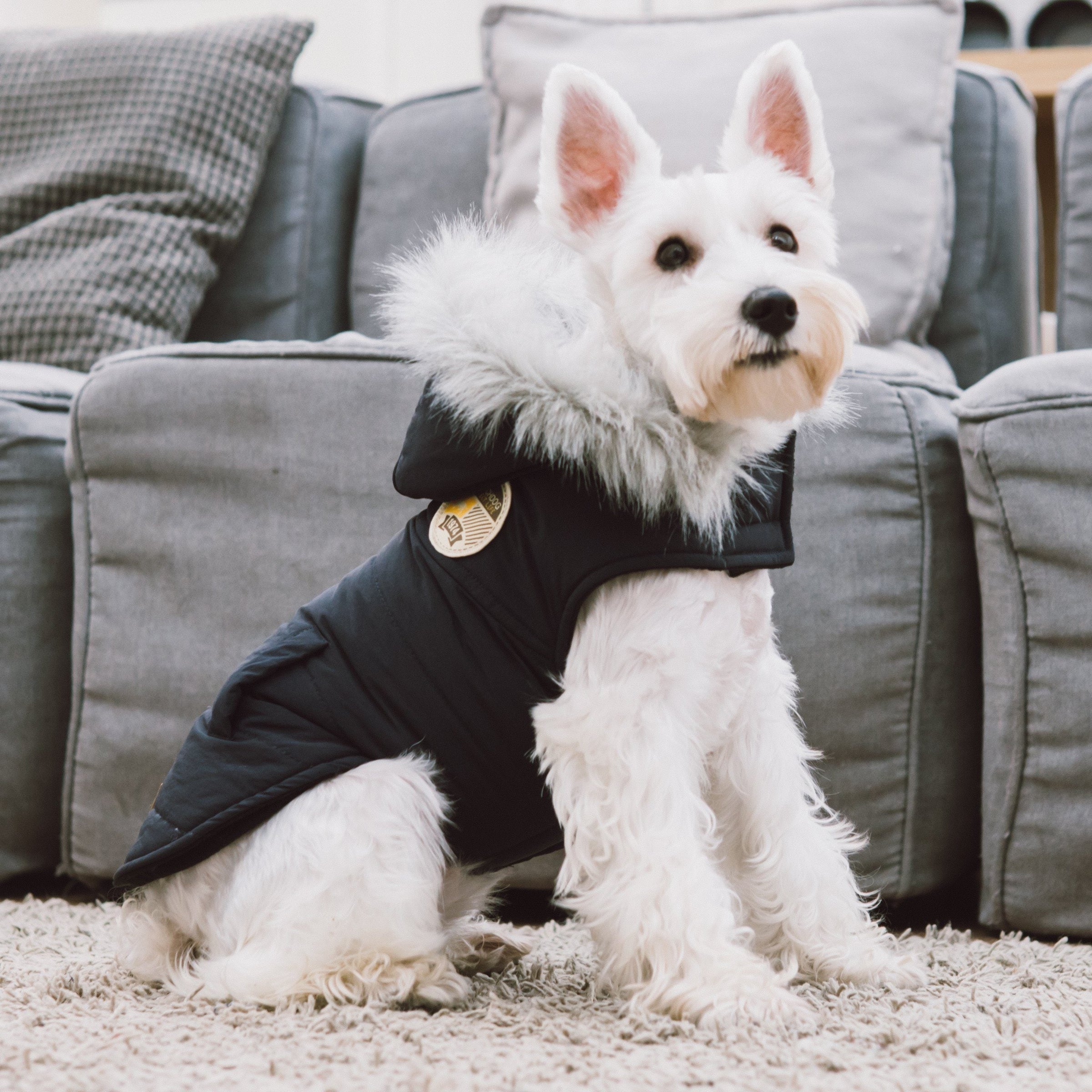 Touchdog 'Eskimo-Swag' Duck-Down Insulated Winter Dog Coat Parka - BIG FRENCHIES
