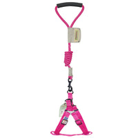 Touchdog Faded-Barker 2-in-1 Fashion Dog Leash and Harness - BIG FRENCHIES