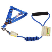 Touchdog Faded-Barker 2-in-1 Fashion Dog Leash and Harness - BIG FRENCHIES