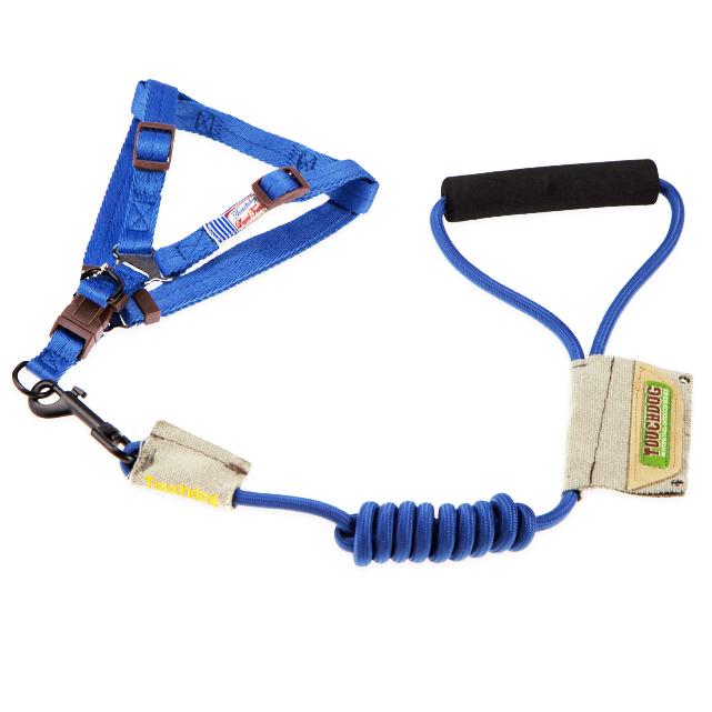 Touchdog Faded-Barker 2-in-1 Fashion Dog Leash and Harness - BIG FRENCHIES
