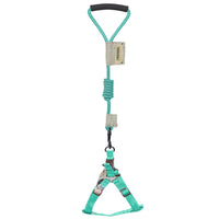 Touchdog Faded-Barker 2-in-1 Fashion Dog Leash and Harness - BIG FRENCHIES