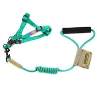 Touchdog Faded-Barker 2-in-1 Fashion Dog Leash and Harness - BIG FRENCHIES