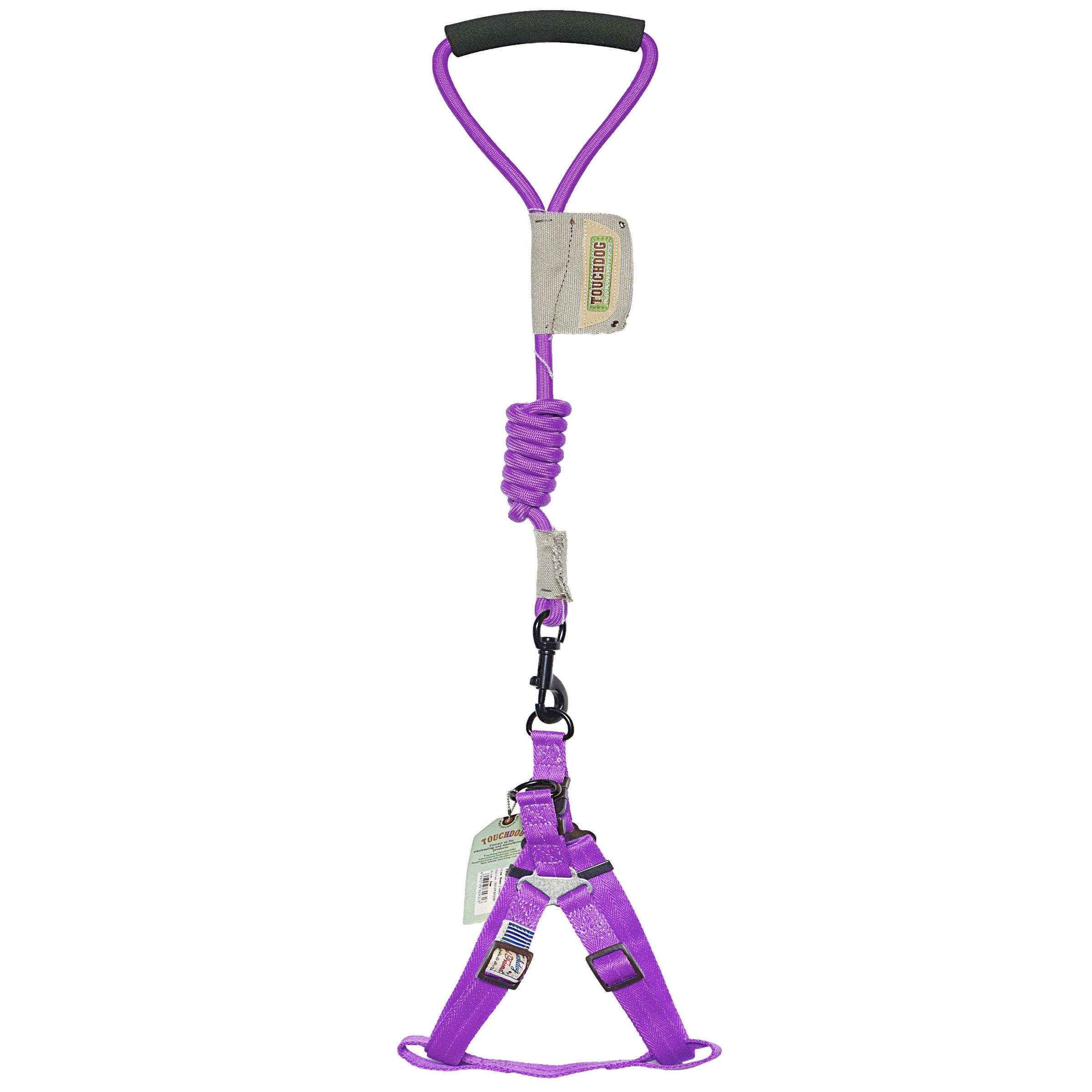 Touchdog Faded-Barker 2-in-1 Fashion Dog Leash and Harness - BIG FRENCHIES