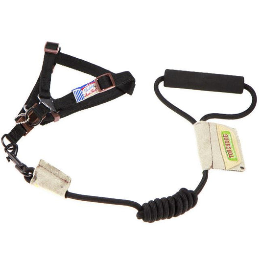 Touchdog Faded-Barker 2-in-1 Fashion Dog Leash and Harness - BIG FRENCHIES