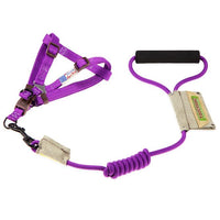Touchdog Faded-Barker 2-in-1 Fashion Dog Leash and Harness - BIG FRENCHIES