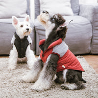 Touchdog 'Furrost-Bite' Fur and Fleece Designer Fashion Dog Jacket - BIG FRENCHIES