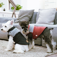 Touchdog 'Furrost-Bite' Fur and Fleece Designer Fashion Dog Jacket - BIG FRENCHIES