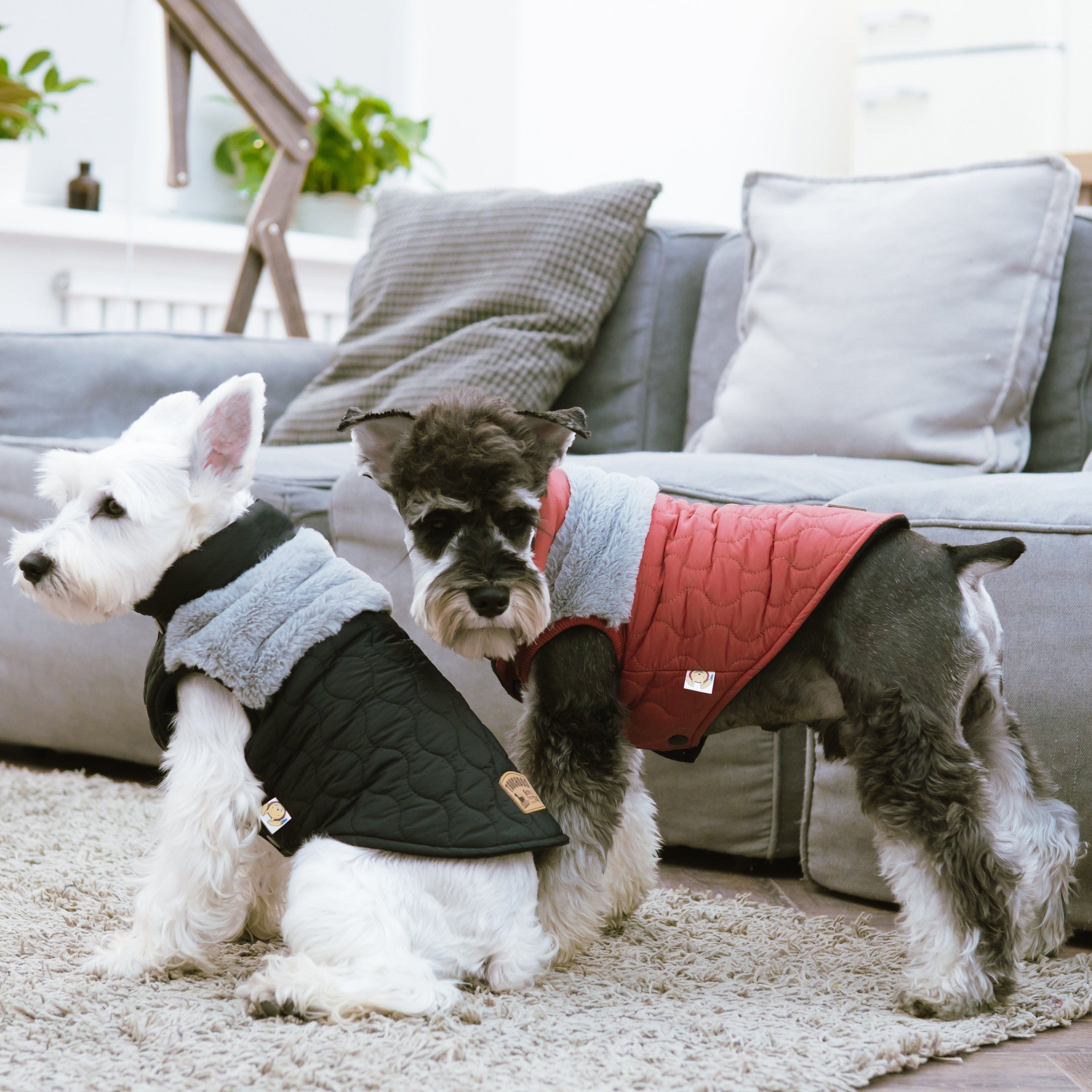 Touchdog 'Furrost-Bite' Fur and Fleece Designer Fashion Dog Jacket - BIG FRENCHIES