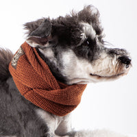 Touchdog Heavy Knitted Designer Fashion Winter Dog Scarf - BIG FRENCHIES