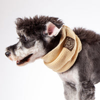 Touchdog Heavy Knitted Designer Fashion Winter Dog Scarf - BIG FRENCHIES