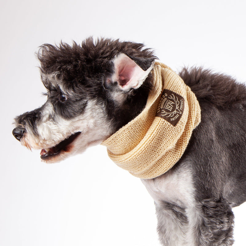 Touchdog Heavy Knitted Designer Fashion Winter Dog Scarf - BIG FRENCHIES