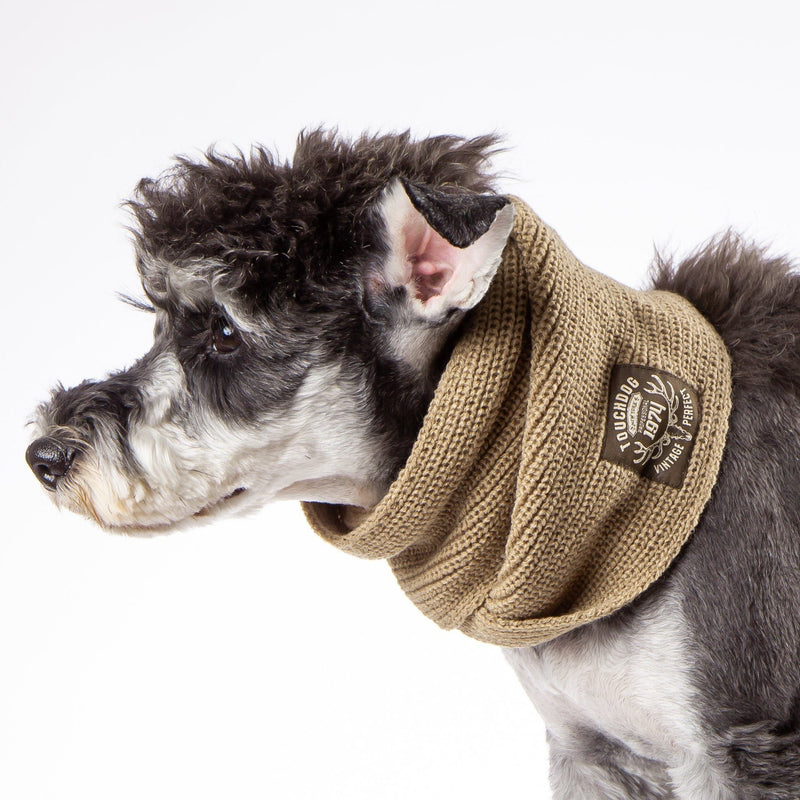 Touchdog Heavy Knitted Designer Fashion Winter Dog Scarf - BIG FRENCHIES
