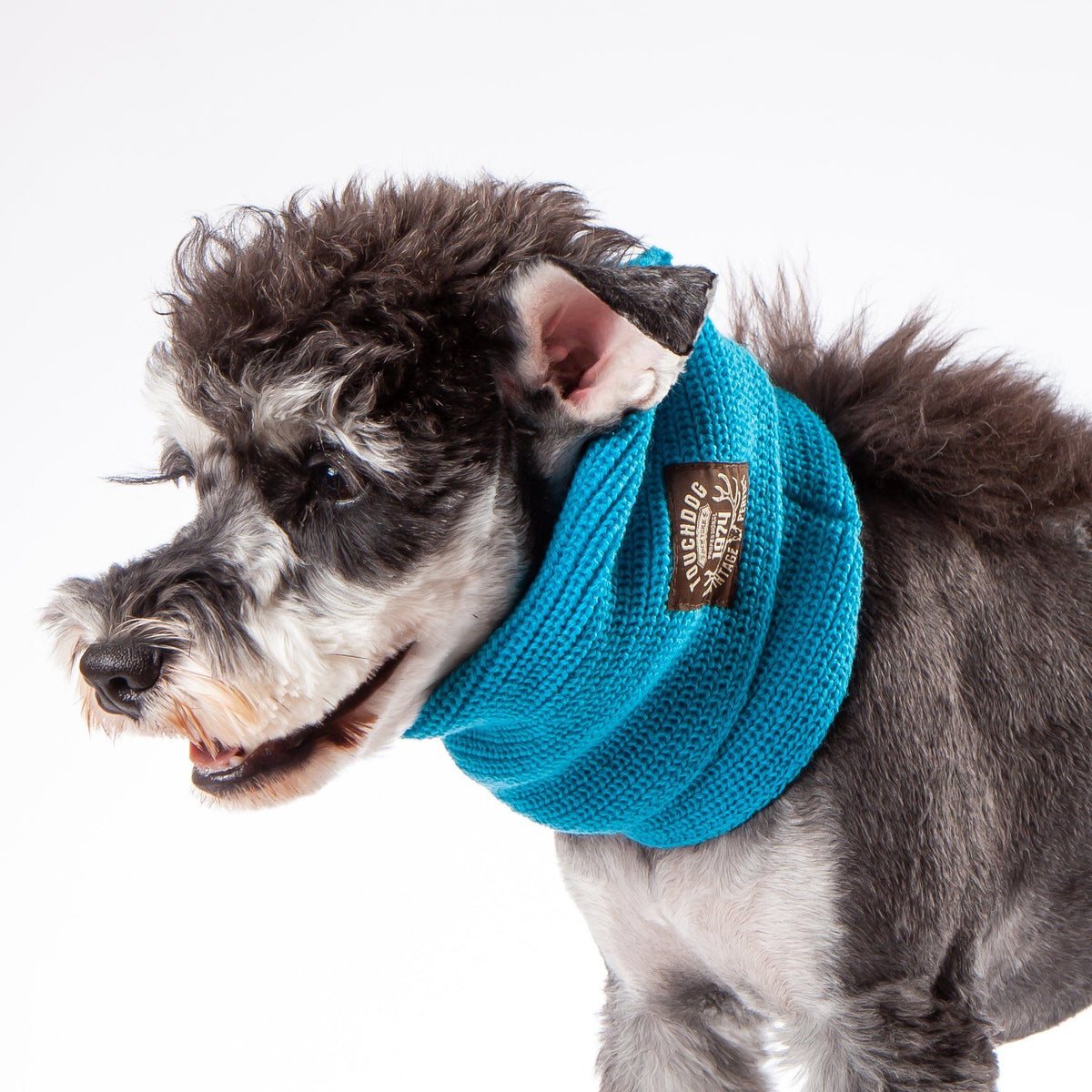 Touchdog Heavy Knitted Designer Fashion Winter Dog Scarf - BIG FRENCHIES