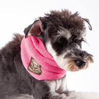 Touchdog Heavy Knitted Designer Fashion Winter Dog Scarf - BIG FRENCHIES